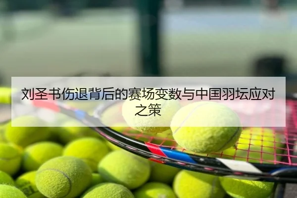 刘圣书伤退背后的赛场变数与中国羽坛应对之策
