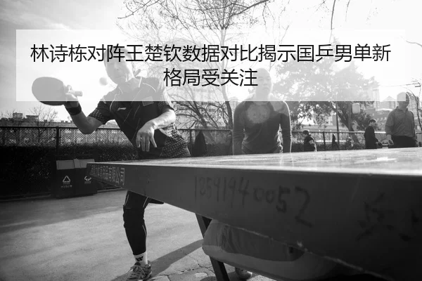 林诗栋对阵王楚钦数据对比揭示国乒男单新格局受关注